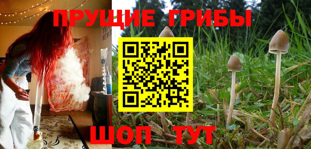 Галлюциногенные грибы прущие грибы  Вход с VPN  Галлюциногенные грибы мицелий  Лесосибирск 